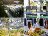 En pool på taget, et hyggeligt loungeområde, glasdrivhuse i en have og en tallerken burger med pommes frites og et glas øl.