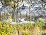 En række glasdrivhuse med bede indeni, placeret blandt højt græs og gule vilde blomster, med træer i baggrunden.