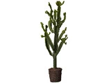 Flora kaktus - H96 cm