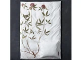 Södahl Sengesæt med Flora Danica motiv Kløver, 140x220 cm (2 sæt)