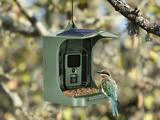 Et grønt foderbræt med et kamera indeni hænger udendørs. En farverig fugl sidder på foderbrættet og spiser frø. Foderautomaten har et lille solpanel på toppen.