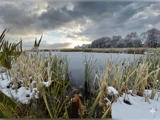 En delvist frossen sø omgivet af sneklædte siv og træer under en dramatisk, overskyet himmel ved solnedgang.
