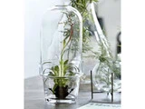 Glasklokke m. potte fra House Doctor - H: 32 cm, Dia: 18.5 cm