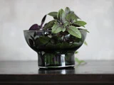 2 stk. Glass bowl no. 50 I mundblæst glas fra Ro Collection - Smoked grey