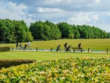 Greenfees for 4 til Møn Golf Resort
