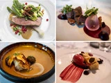 En collage af fire gourmetretter, hver især kunstfærdigt anrettet med farverige grøntsager, saucer, garniture og elegant præsentation på hvide tallerkener.