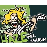 1 Partout billet til Haze over Haarum