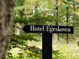 Overnatning på Hotel Egeskoven - Stemning af "Sommer på Feddet"