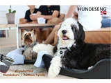2Pak lille Wonderfold Hundekurven & Airflow hynden fra Coocoo Design 