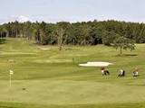 Flere mennesker spiller golf på en frodig grøn bane med sandbunkere, omgivet af træer og under en delvis overskyet himmel.