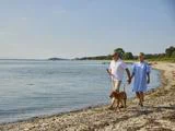 Et par går hånd i hånd langs en rolig strand med deres hund i snor og nyder en solrig dag ved vandet.