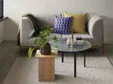 En moderne stue med en grå sofa, to farverige puder, en grøn plaid, et sofabord i glas med bøger og en potteplante på et lille sidebord i træ, alt sammen på et lyst tæppe.