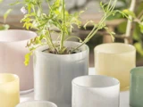 En grøn plante vokser i en skinnende hvid potte, omgivet af pastelfarvede tomme potter på en solbeskinnet overflade.