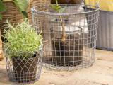 To potteplanter i brune beholdere placeret i trådkurve på en stenoverflade med andre kurve i baggrunden.