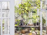 Et drivhus med potteplanter, haveredskaber og forsyninger på et bord; sollyset strømmer ind gennem store glasvinduer, og man kan se det grønne udenfor.