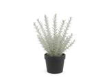 Chic Antique, Fleur Rosmarin, Kunstig plante, grøn, Plastik, jern, polyskum, H:45 x Ø:15 cm