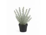Chic Antique, Fleur Rosmarin, Kunstig plante, grøn, Plastik, jern, polyskum, H:45 x Ø:15 cm