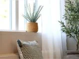 Chic Antique, Fleur Rosmarin, Kunstig plante, grøn, Plastik, jern, polyskum, H:45 x Ø:15 cm