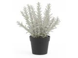 Chic Antique, Fleur, Rosmarin, Kunstig plante, Grøn, Plastik, Jern, Polyskum, H:30 x Ø:11 cm