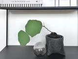 En potteplante med store grønne blade står ved siden af et rundt glasornament på en sort hylde med bøger på hylden ovenover.