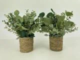 To små kunstige potteplanter med grønne blade i flettede kurve, placeret side om side på en lys flade mod en almindelig hvid baggrund.