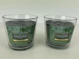 To glaskrukker med grønne Candra Candle Limited Edition-etiketter indeholder mørke stearinlys mærket Eucalyptus Spearmint, der er placeret side om side på en lys overflade.