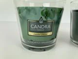 Et glaslys med mærket Candra Candle Limited Edition Eucalyptus Spearmint med en grøn baggrund og eukalyptusblade.