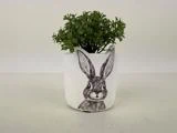 En lille grøn plante i en hvid potte med en sort-hvid tegning af et kaninansigt på forsiden.