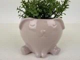 En lille plante i en blank, lysbeige keramikpotte formet som en sød hund med lukkede øjne og hængeører.