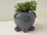 En lille grøn plante i en sød grå keramikpotte formet som en hund, placeret på en hvid overflade mod en lys baggrund.