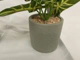 En grønbladet plante i en struktureret, lysegrå potte fyldt med småsten, placeret på en hvid stofoverflade.