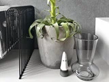 En potteplante, et klart glas og en lille kegleformet figur med øjne står på et skrivebord ved siden af et sort metalskab med bøger.