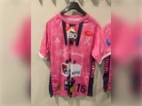 Lyserød og marineblå kortærmet sportstrøje med forskellige sponsorlogoer, et bånd til støtte for kampen mod brystkræft og tallet 15 på forsiden.