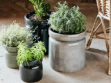Fire potteplanter i keramiske potter i forskellige størrelser og farver er arrangeret på et betongulv ved siden af en kurvestol.