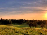 En golfbane ved solnedgang med gyldent sollys, grønt græs, et par træer, en putting green og en farverig himmel med tynde skyer.