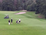 Fire personer befinder sig på en golfbane i nærheden af en puttinggreen og en sandbunker med en golfvogn parkeret i nærheden, omgivet af træer.