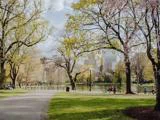 En bypark med blomstrende træer, mennesker, der sidder på bænke og i græsset, og en dam omgivet af bygninger under en delvis overskyet himmel.