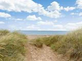 Familie miniferie i Strandhytte - First Camp Resort Klim Strand - Plads til 6 personer