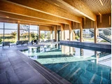 Moderne indendørs swimmingpool med store vinduer, træloft, liggestole og udsigt til grønne områder og træer udenfor.