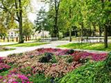 En frodig park med høje træer, farverige blomsterbede, grønne plæner og tomme bænke langs snoede stier på en solrig dag.