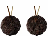 To runde, mørkebrune objekter lavet af klynger af frølignende stykker, der hver især hænger fra et tyndt brunt bånd mod en hvid baggrund.