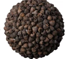 En stor, rund klynge af tætpakkede, mørkebrune frøbælge på en hvid baggrund.