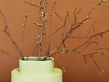 En lysegrøn vase med nøgne grene med små grønne knopper på en varm brun baggrund.