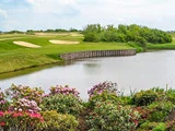 En naturskøn golfbane med sandbunkers, en dam omkranset af træplanker, blomstrende buske i forgrunden og grønne områder i baggrunden.