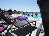 Folk slapper af i liggestole og svømmer i en udendørs pool under en klar blå himmel; en lilla oppustelig ring hviler på trædækket.
