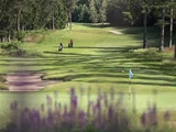 En golfbane med to personer, der går langs fairway, træer på begge sider og et blåt flag, der markerer hullet i forgrunden.
