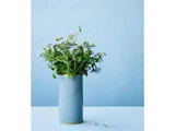 En lyseblå keramikvase fyldt med grønne bladstilke og små blå blomster står på en blå flade mod en blå baggrund. To små blomster hviler ved siden af vasen.