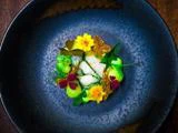 En gourmetret med hvid fisk garneret med grøn sauce, spiselige blomster og krydderurter, kunstfærdigt anrettet på en mørkeblå keramiktallerken.