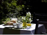 Udendørs bord dækket til morgenmad med brød, et blødkogt æg, mælk, kopper, blomster i en gul vase, glas og limefrugter, alt sammen i naturligt sollys med grønne planter i baggrunden.