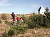 Tre personer kører på mountainbike på en græsklædt sti omgivet af små fyrretræer med en hvid kirkelignende bygning i baggrunden under en klar himmel.